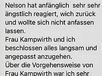 Hundesalon s'Paradiesli - Kampwirth GmbH – Cliquez pour agrandir l’image 14 dans une Lightbox