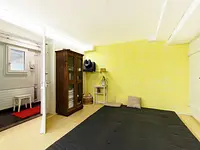 Shiatsu Kaiser Zürich - cliccare per ingrandire l’immagine 3 in una lightbox