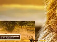 Lionprint.ch - Klicken Sie, um das Bild 2 in einer Lightbox vergrössert darzustellen