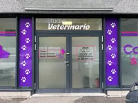 Studio veterinario Can e Gat - cliccare per ingrandire l’immagine 1 in una lightbox