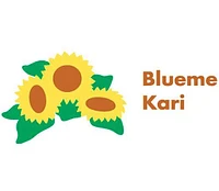 Blueme Kari AG logo