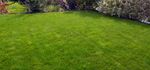 Entretien de jardins