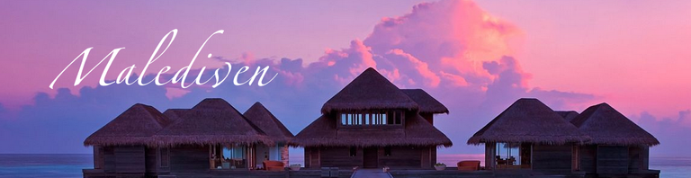 Holiday Maker Tours
