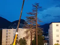 AFOR - Azienda Forestale Valli di Lugano SA - Klicken Sie, um das Bild 3 in einer Lightbox vergrössert darzustellen