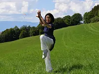 TAI CHI GENEVE – click to enlarge the image 7 in a lightbox
