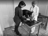 Cabinet vétérinaire des Hauts de Carouge SA - cliccare per ingrandire l’immagine 1 in una lightbox