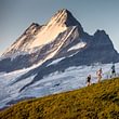 Die Backdoor Trail Runner in Action, im Hintergrund thront das Schreckhorn mit 4078 m.ü.M