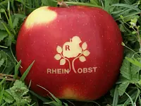 Rheinobst Genossenschaft - Klicken Sie, um das Bild 1 in einer Lightbox vergrössert darzustellen