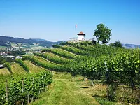 Weinbau Kaiserspan – Cliquez pour agrandir l’image 5 dans une Lightbox