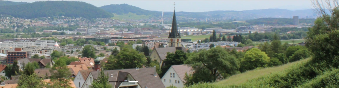 Spitex-Verein Region Aargau Ost