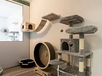 Tierarzt Zentrum & Katzenhotel Bülach - cliccare per ingrandire l’immagine 3 in una lightbox