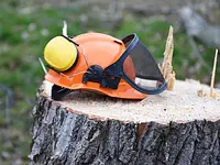 Happytree Baumpflege Lenzin - Klicken Sie, um das Bild 3 in einer Lightbox vergrössert darzustellen