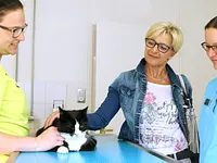 Tierarztpraxis Lindenacker GmbH - Klicken Sie, um das Bild 1 in einer Lightbox vergrössert darzustellen