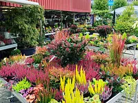 Garden Centre Meylan – click to enlarge the image 9 in a lightbox