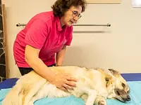 Hund in Balance Hundephysiotherapie - Klicken Sie, um das Bild 5 in einer Lightbox vergrössert darzustellen
