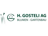 H. Gosteli AG - cliccare per ingrandire l’immagine 1 in una lightbox