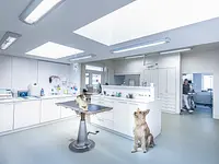 Tierklinik Rhenus AG - Klicken Sie, um das Bild 4 in einer Lightbox vergrössert darzustellen