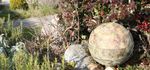 Gartenskulptur