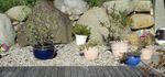 Gartenbau