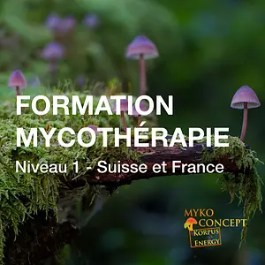 Formations en Mycothérapie