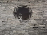 HAARTISTIGO logo