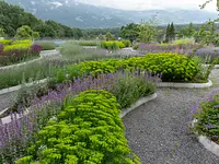 AUHOF Pflanzen Garten Blumen - cliccare per ingrandire l’immagine 18 in una lightbox