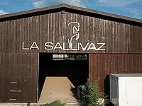 Manège de la Sallivaz & Poney club - Klicken Sie, um das Bild 9 in einer Lightbox vergrössert darzustellen