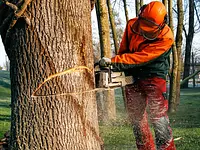 Kümin Baumpflege GmbH - Klicken Sie, um das Bild 7 in einer Lightbox vergrössert darzustellen