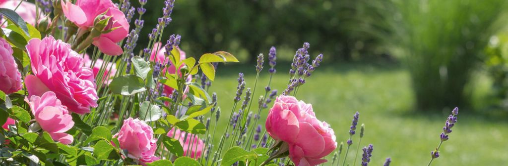 es bedarf an kontinuierlicher Pflege, um die Freude am Garten aufrecht zu halten