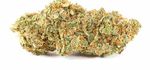 BUBBLEGUM | CBD – CBDA < 18%