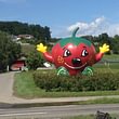 Erdbeeren regional Sonnhaldenhof Aargau