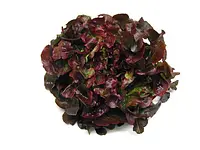 Dreyer AG - Früchte, Gemüse, Tiefkühlprodukte – click to enlarge the image 20 in a lightbox