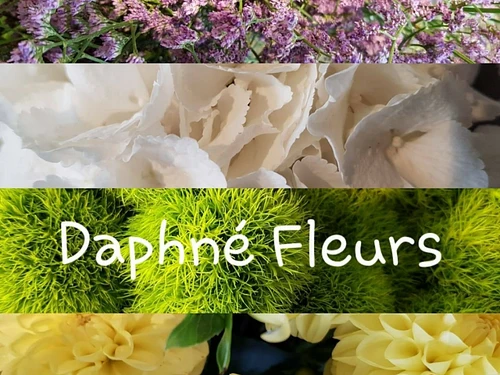 Aux Fleurs Jumelles (anciennement Daphné Fleurs) – click to enlarge the panorama picture