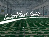 SwissPlant GmbH – Cliquez pour agrandir l’image 1 dans une Lightbox