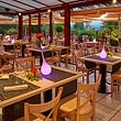 Restaurant La terrasse "Jardin d'hiver"