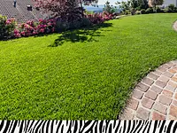 Zebra AG Garten & Pool - Klicken Sie, um das Bild 3 in einer Lightbox vergrössert darzustellen