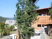 Möckel Baumschulen Pflanzencenter GmbH - Klicken Sie, um das Bild 10 in einer Lightbox vergrössert darzustellen