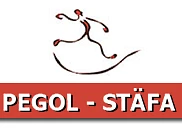 Pegol Schule AG