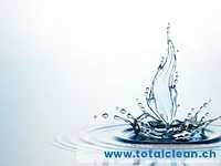 Total CLEAN – click to enlarge the image 5 in a lightbox