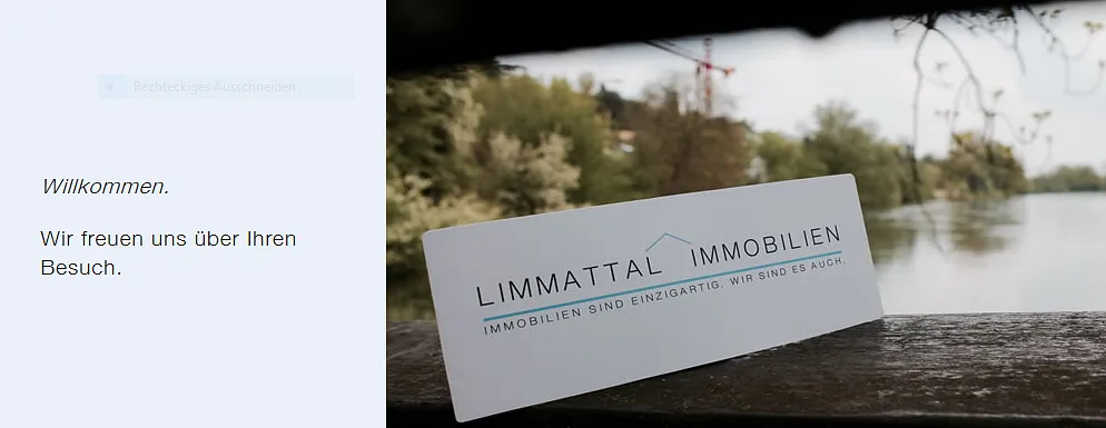LIMMATTAL IMMOBILIEN GmbH