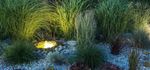 Gartenpflege