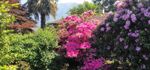 Grosse 4.5-Zimmerwohnung mit schönem Garten in Ascona - Casa Cristina