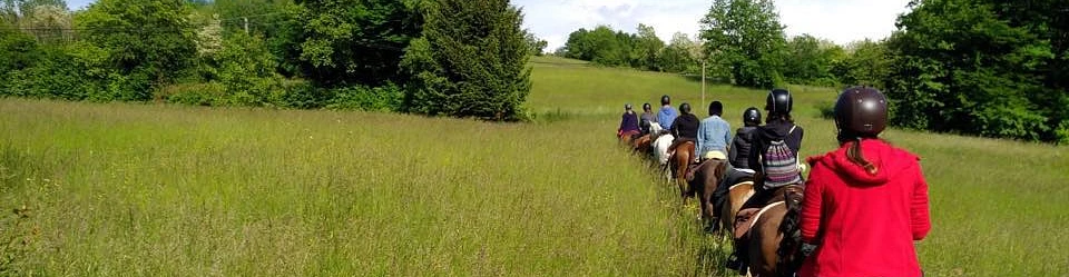 Ranch Blackyland - Manège et cours d'équitation - Genève - Bernex