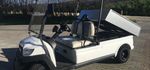 Elektrofahrzeug / Golfcar WSM MX6 Cargo mit Ladefläche z. Kippen