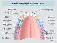 Dental Labor – click to enlarge the image 10 in a lightbox