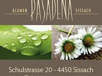 Blumen Pasadena - Klicken Sie, um das Bild 4 in einer Lightbox vergrössert darzustellen