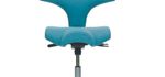 HAG Capisco 8106