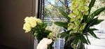 Abonnement florale