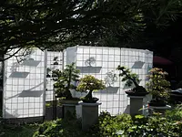 Bonsai-Atelier Rieterpark - cliccare per ingrandire l’immagine 4 in una lightbox