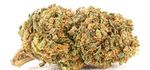 MELON KUSH | CBD – CBDA < 14%